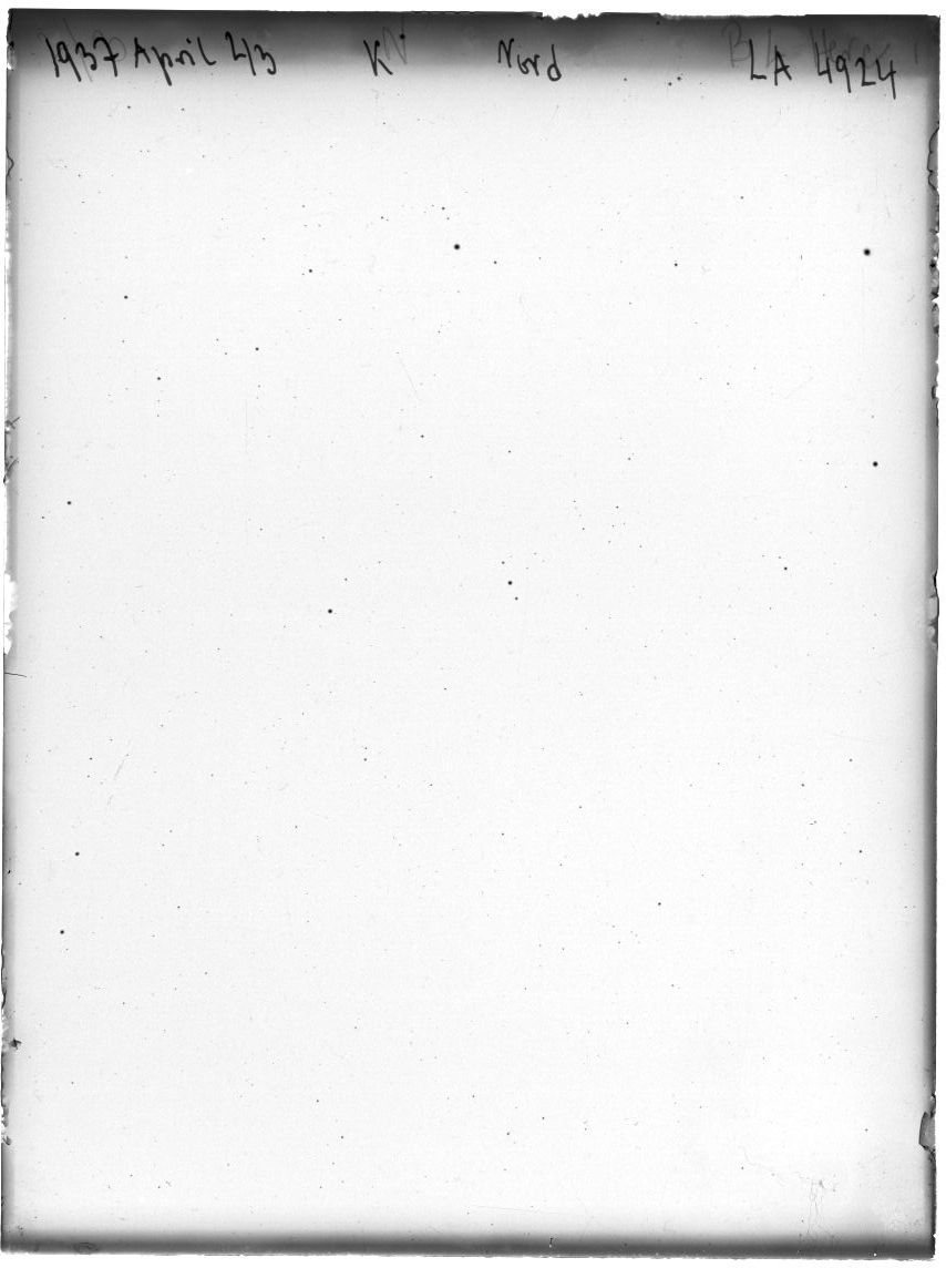 Plate preview
