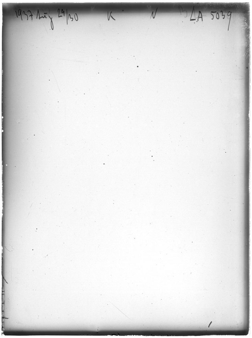 Plate preview