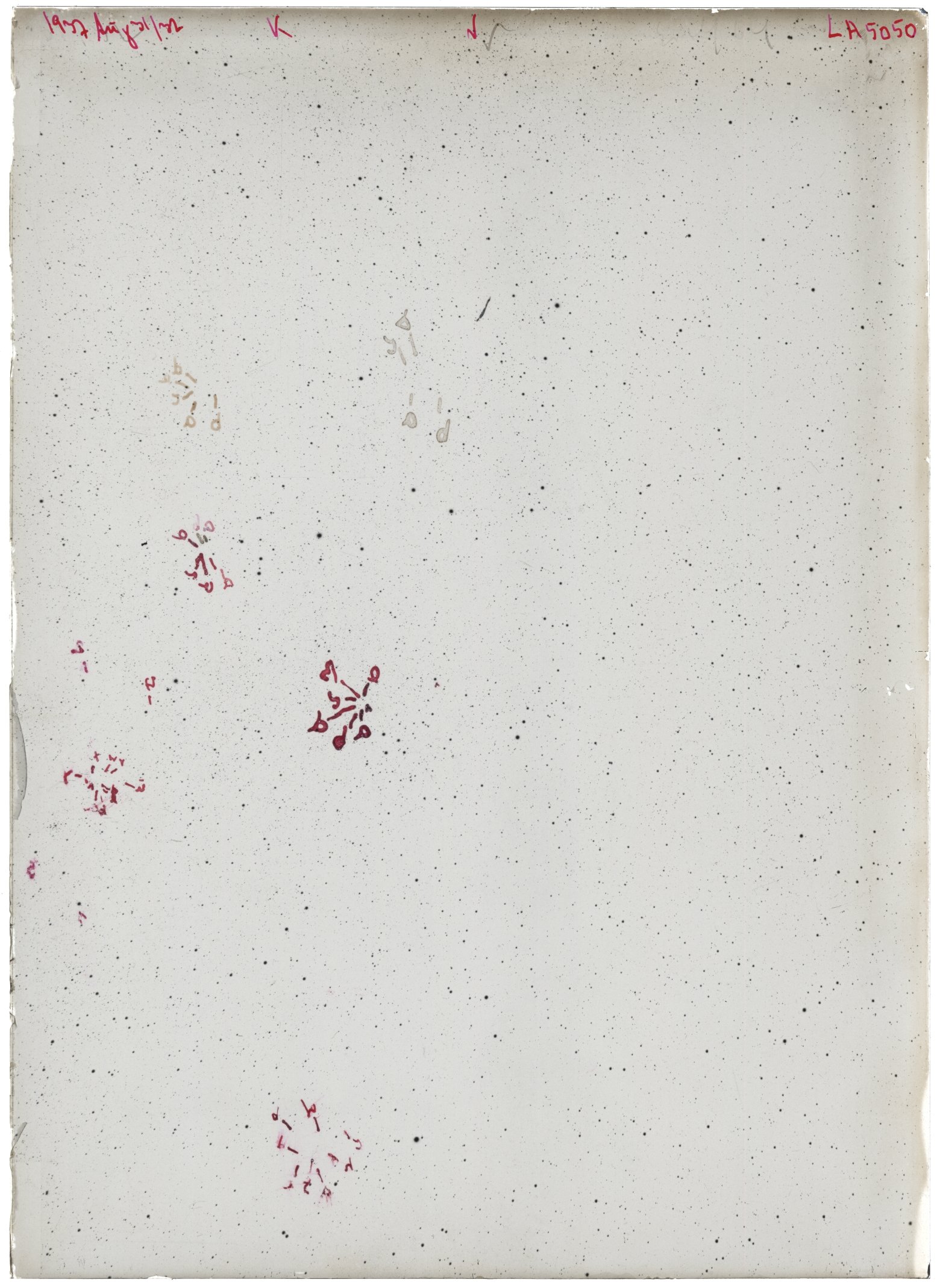 Plate preview