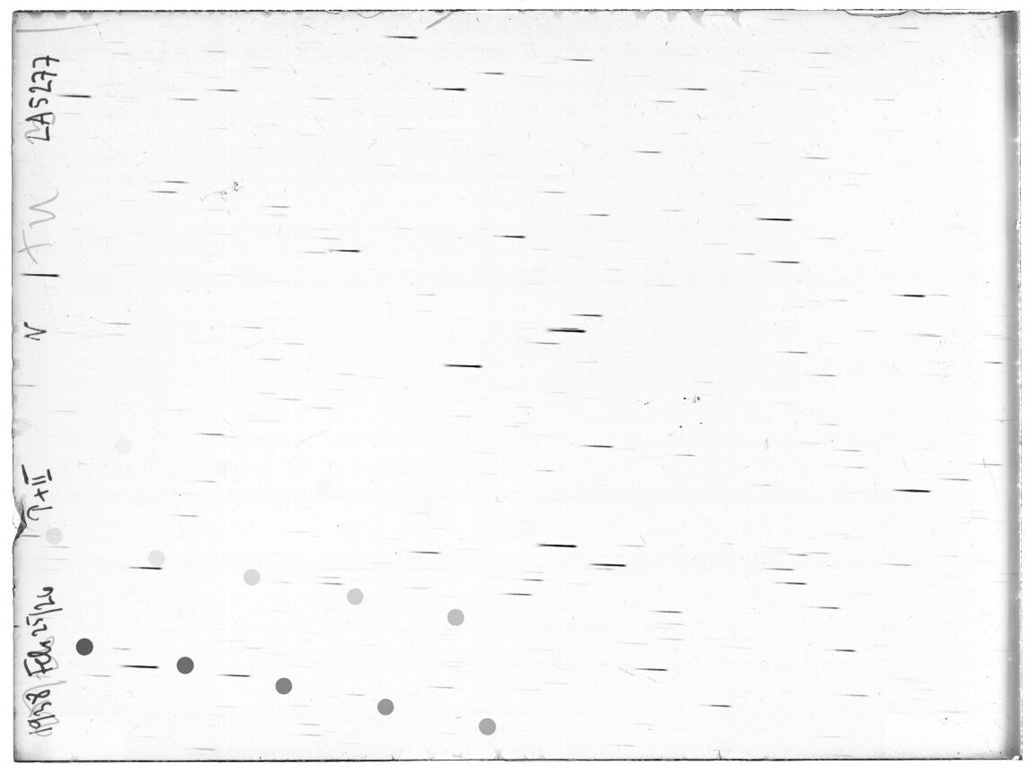 Plate preview