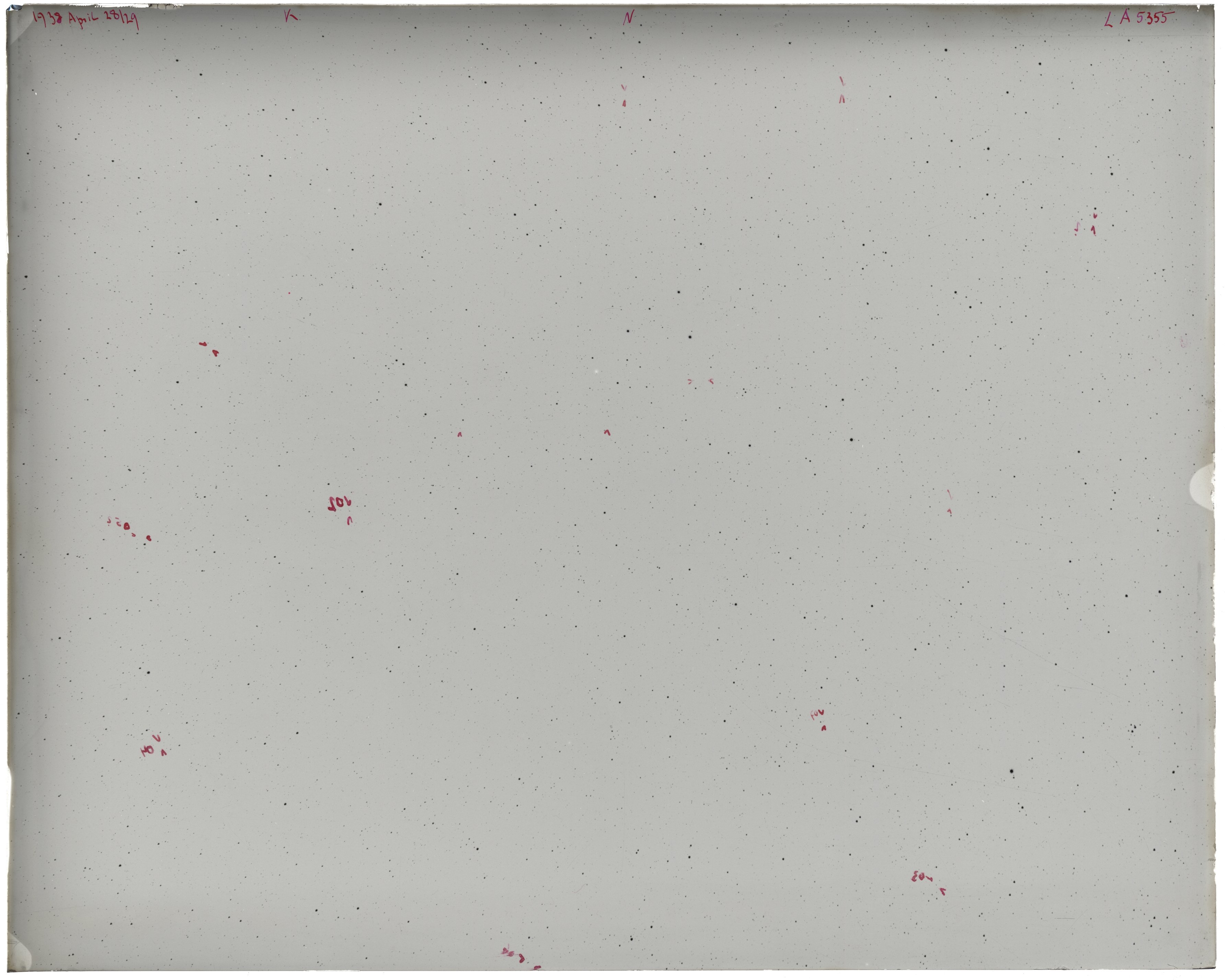 Plate preview