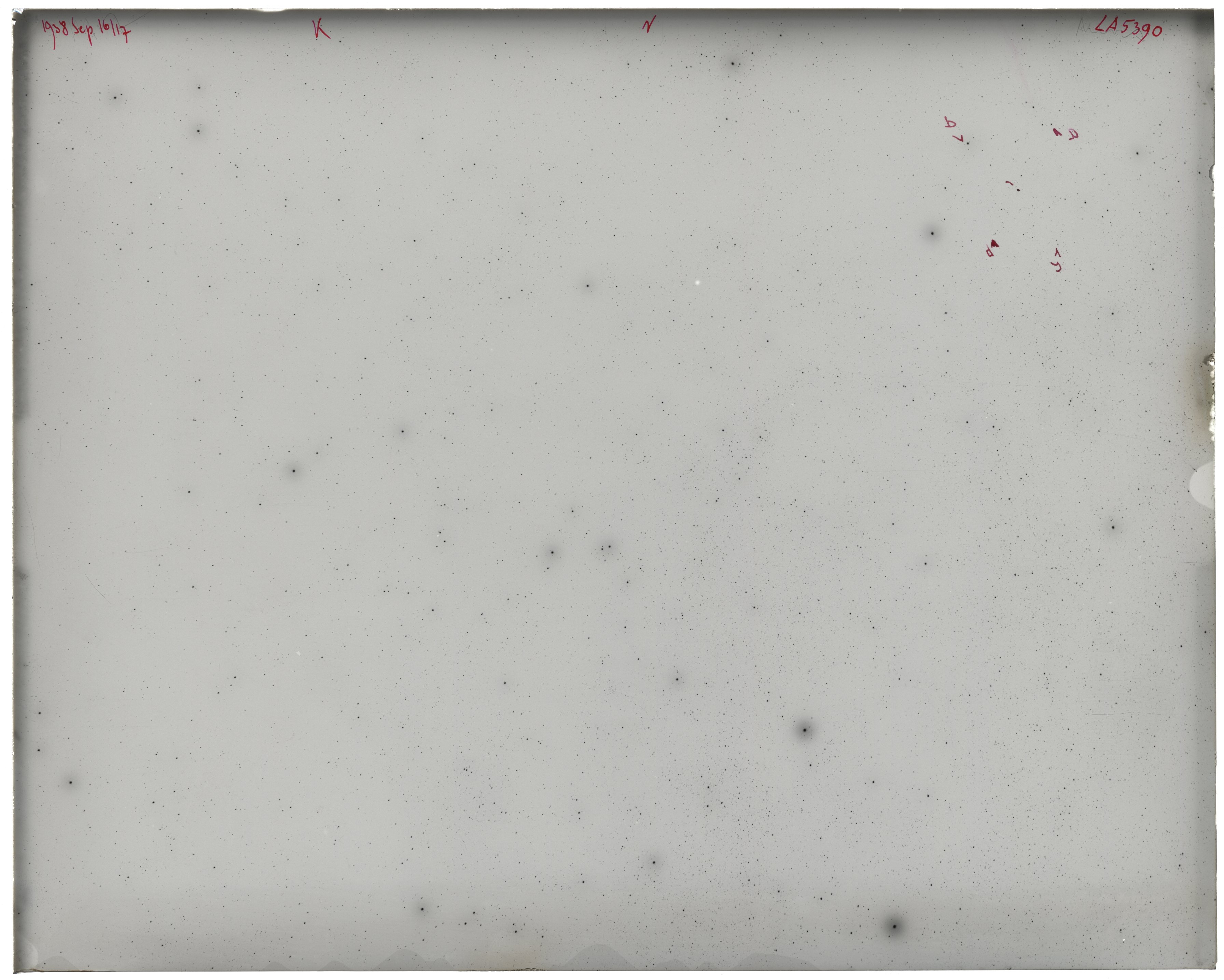 Plate preview