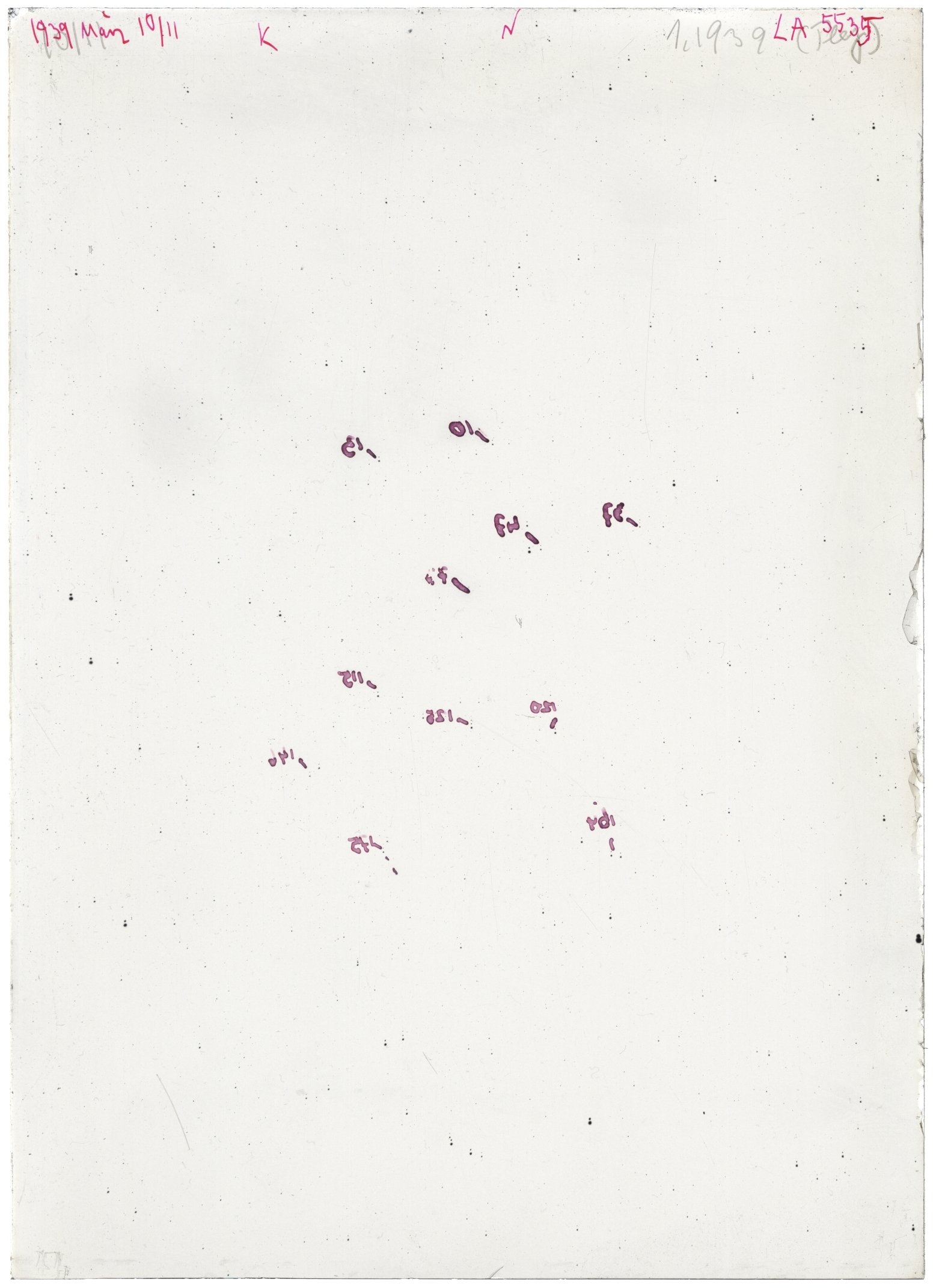 Plate preview