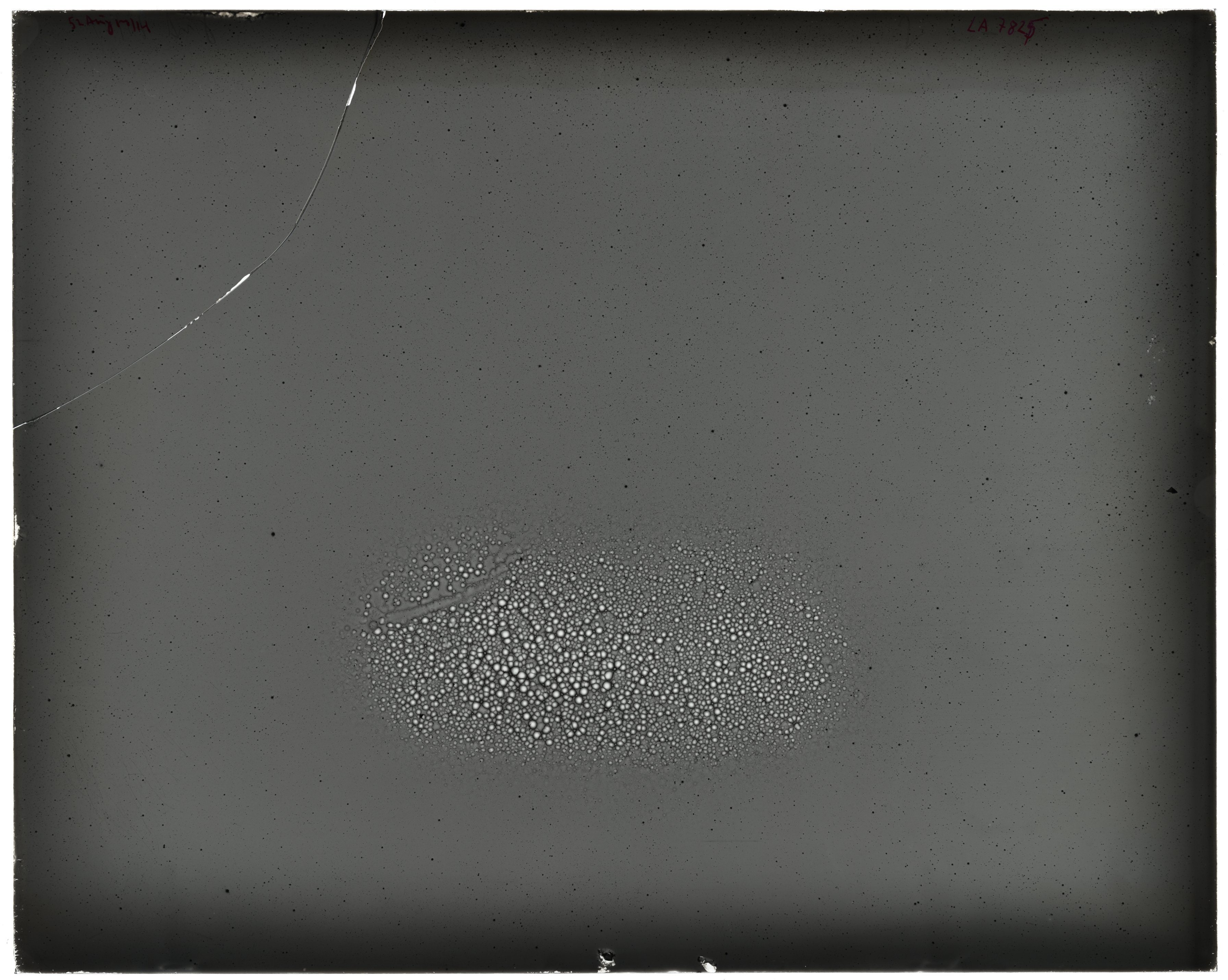 Plate preview