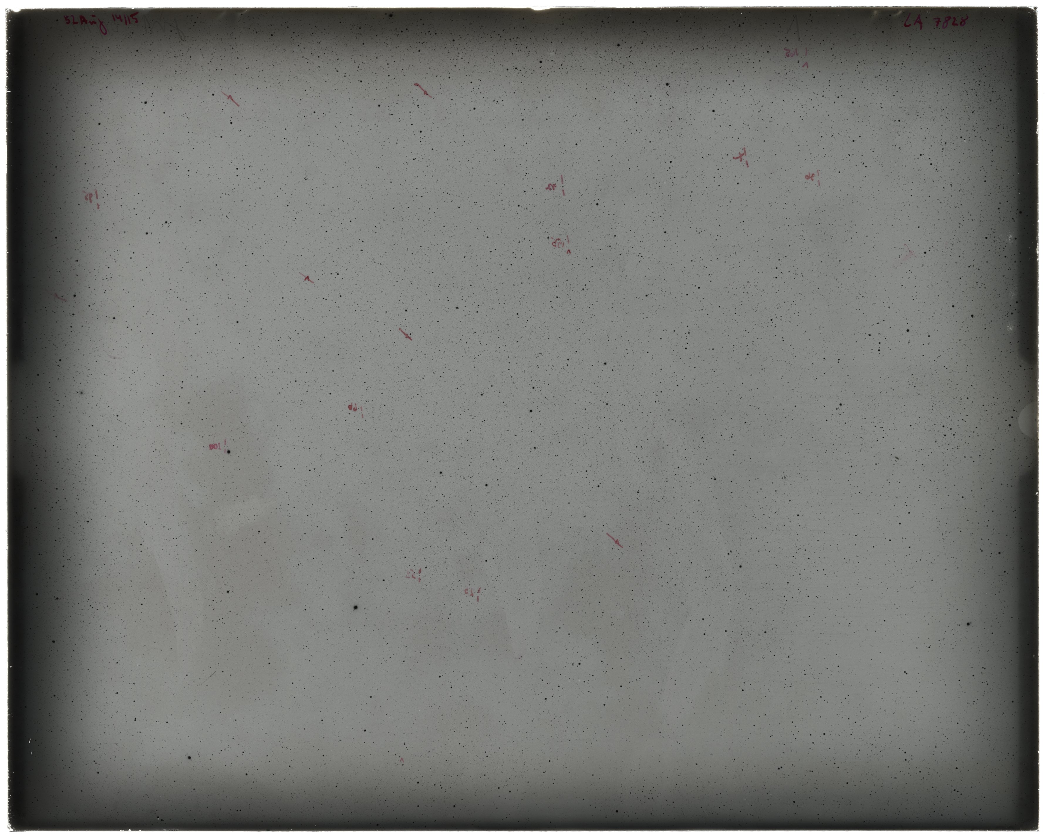 Plate preview
