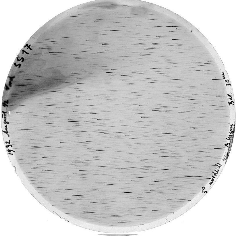 Plate preview