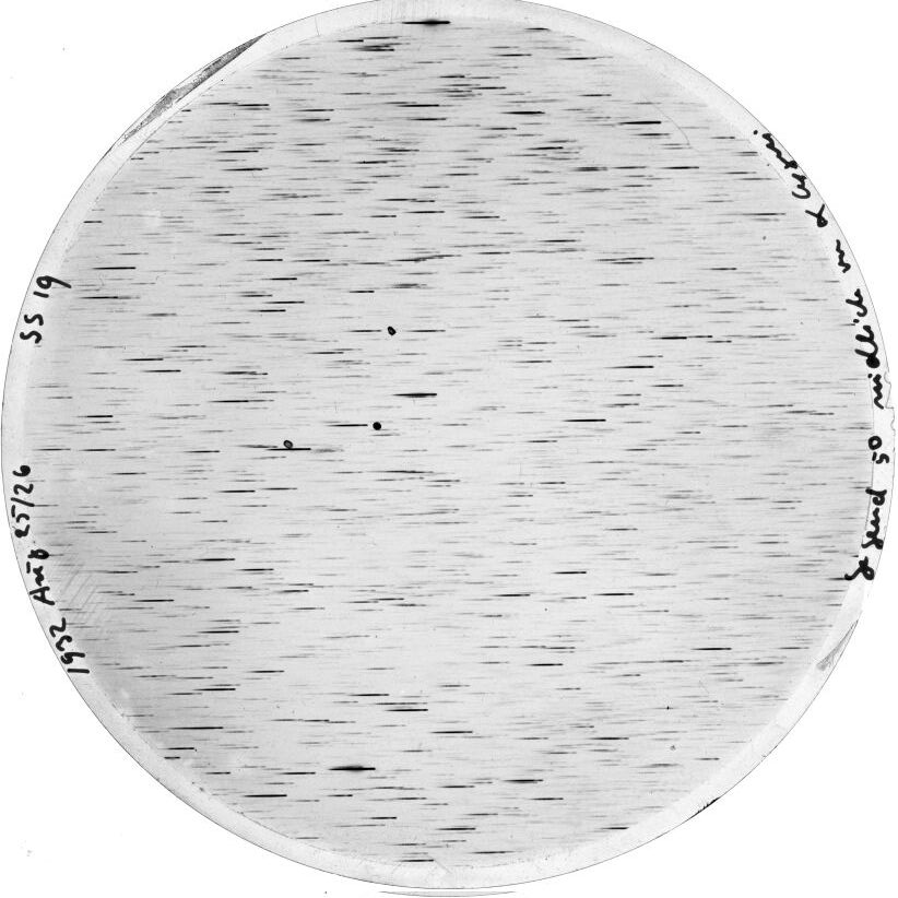 Plate preview