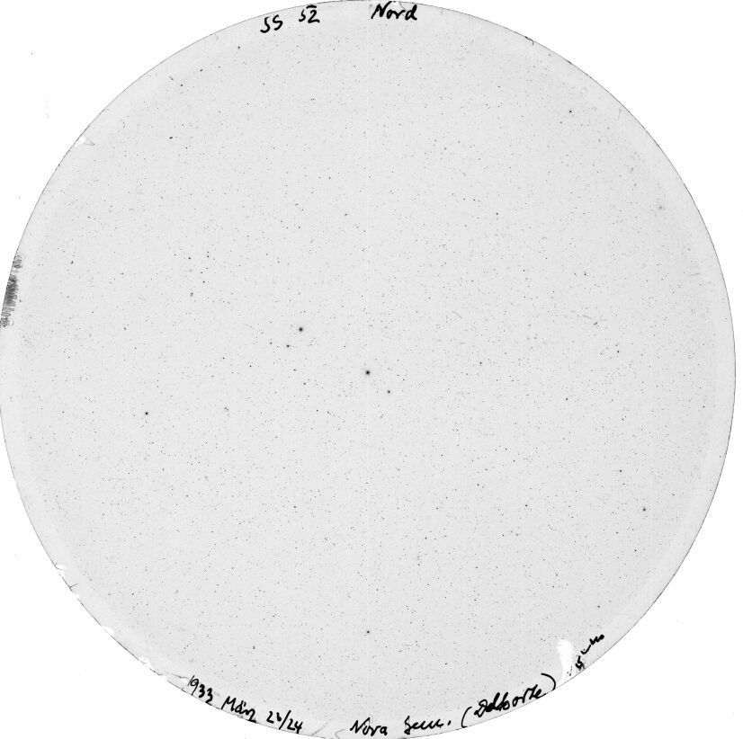 Plate preview