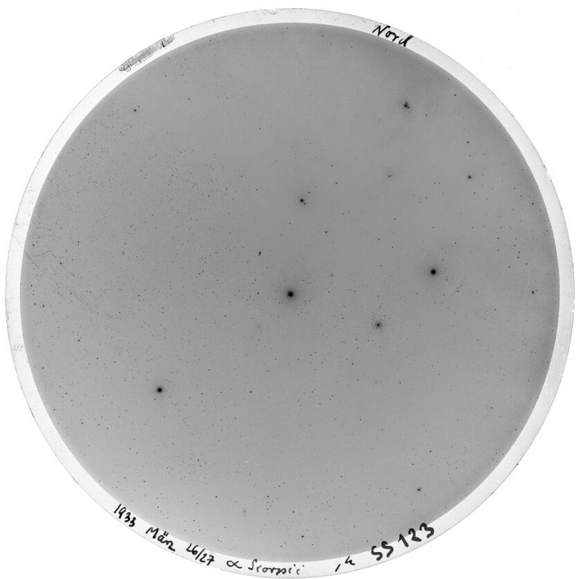 Plate preview