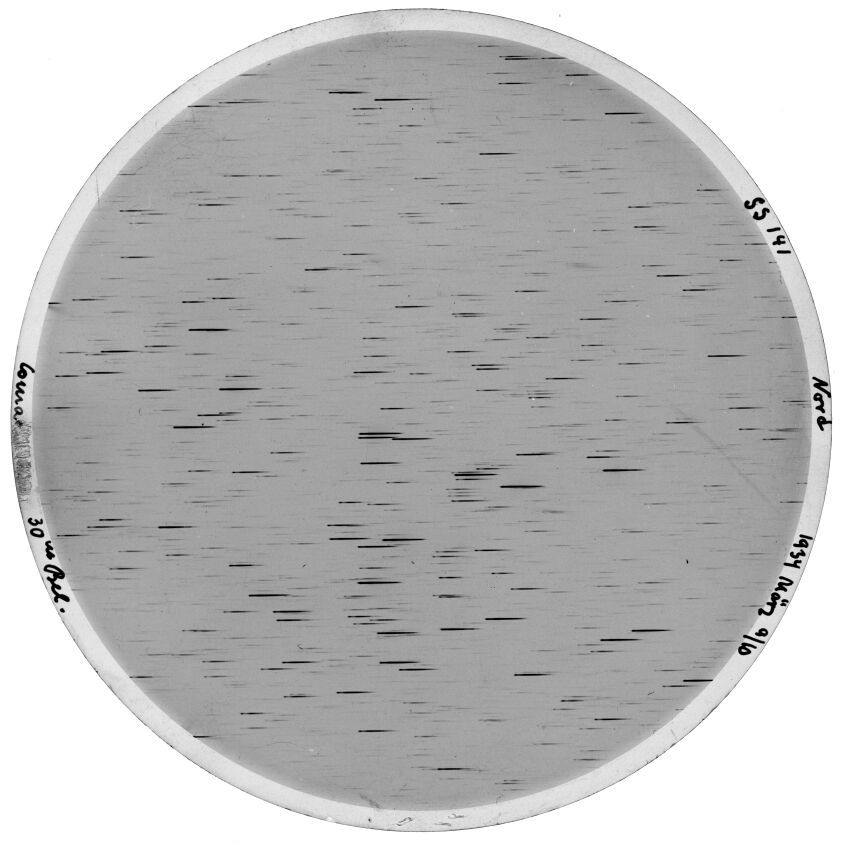 Plate preview