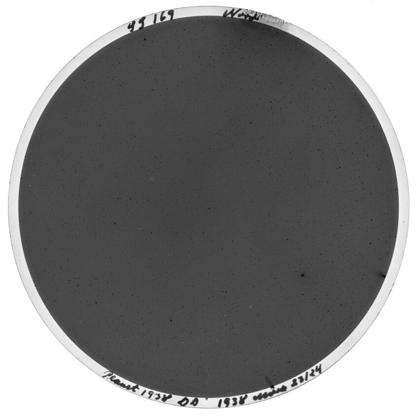 Plate preview
