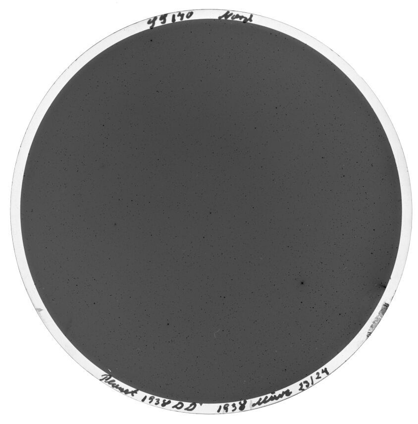 Plate preview