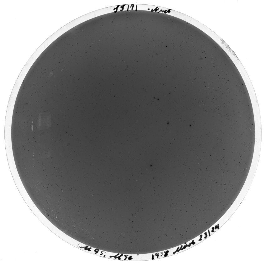 Plate preview