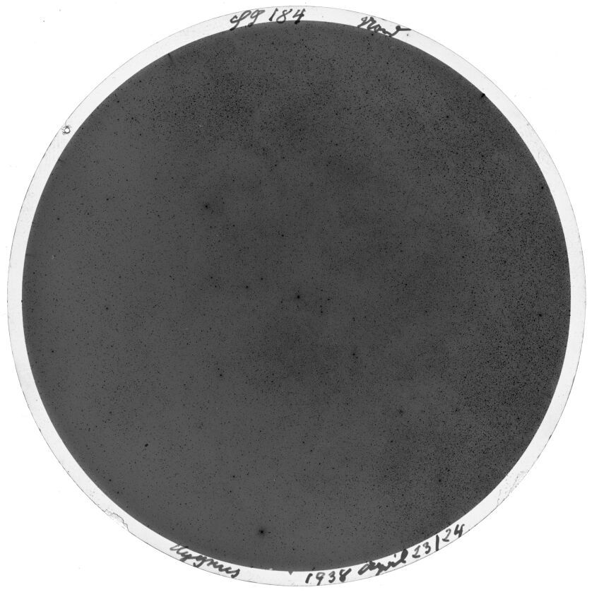 Plate preview