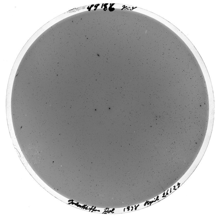 Plate preview