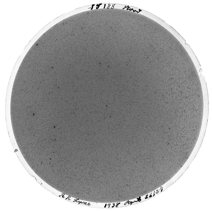 Plate preview