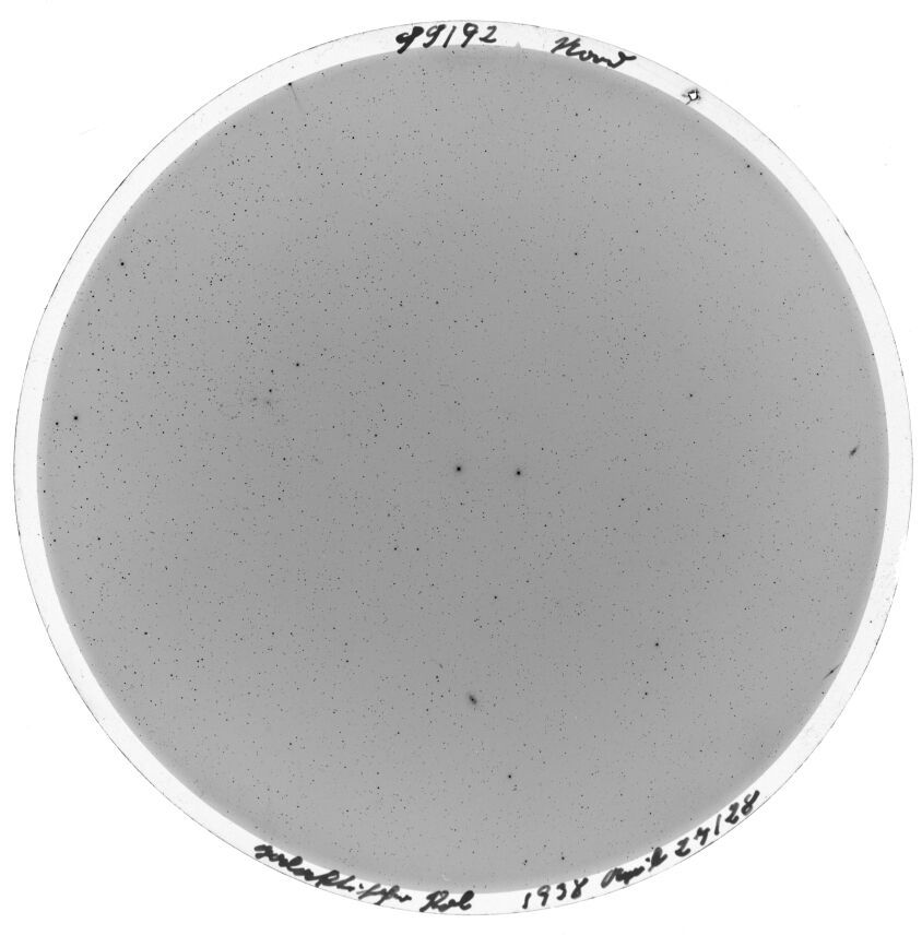 Plate preview