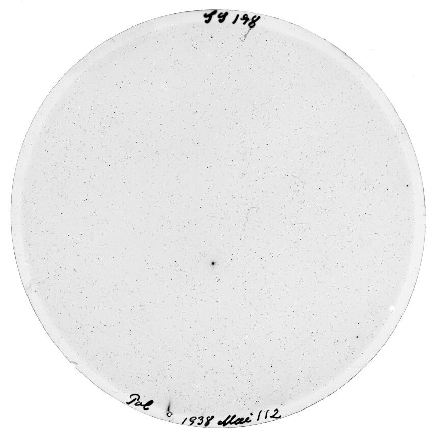 Plate preview