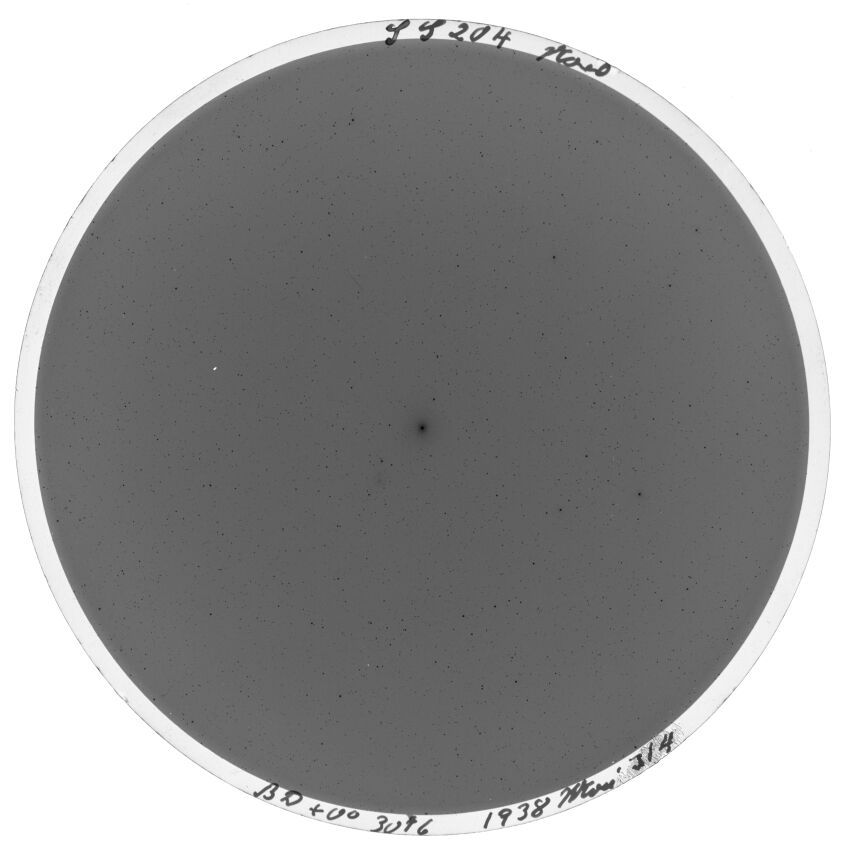 Plate preview
