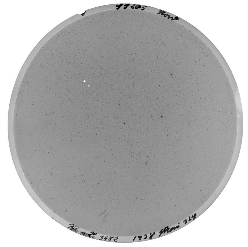 Plate preview