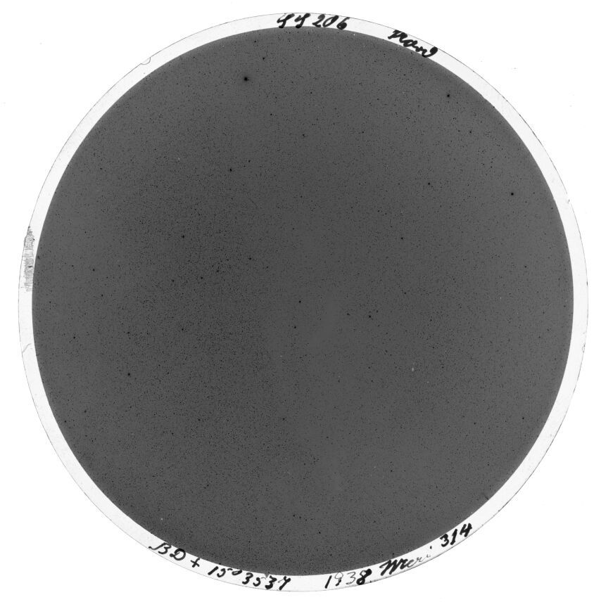 Plate preview
