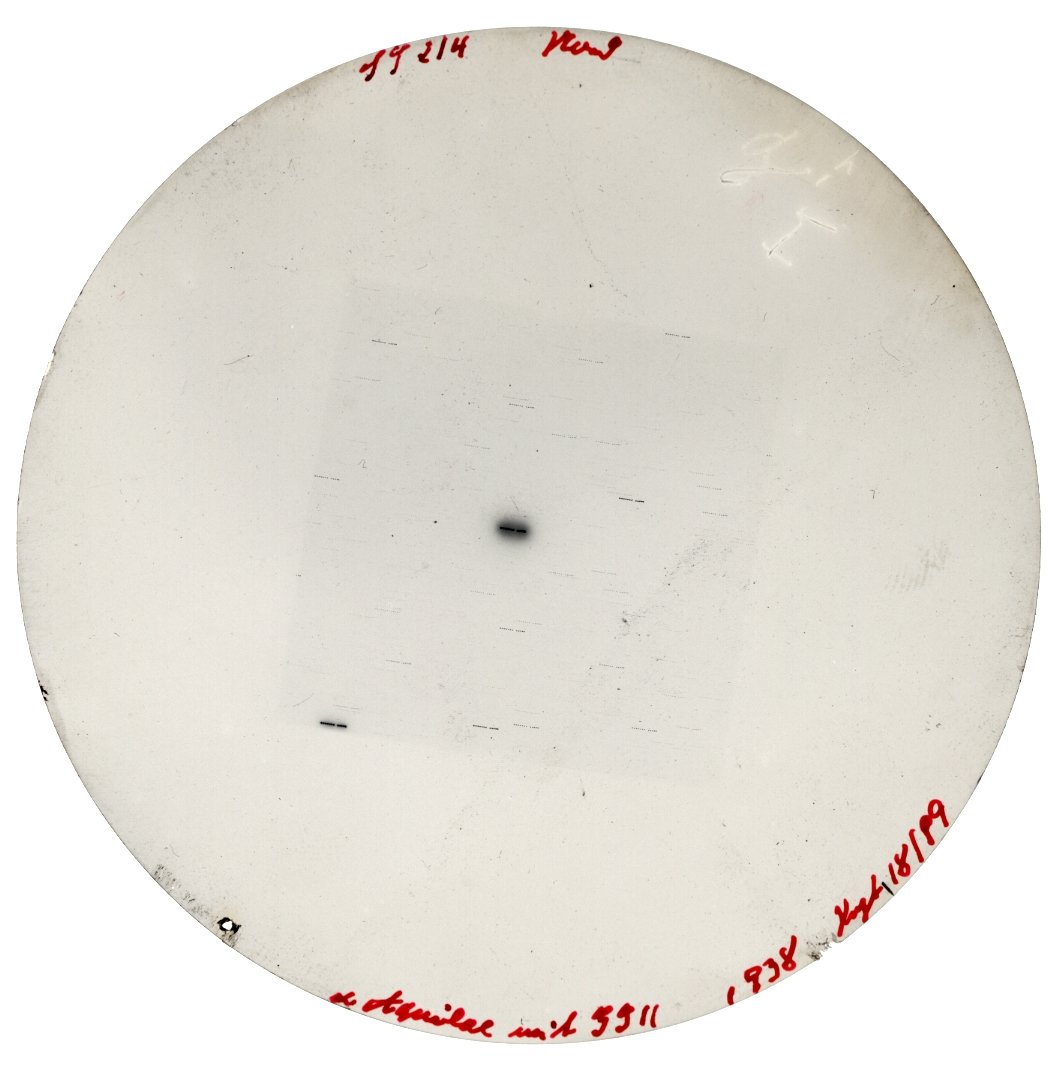 Plate preview
