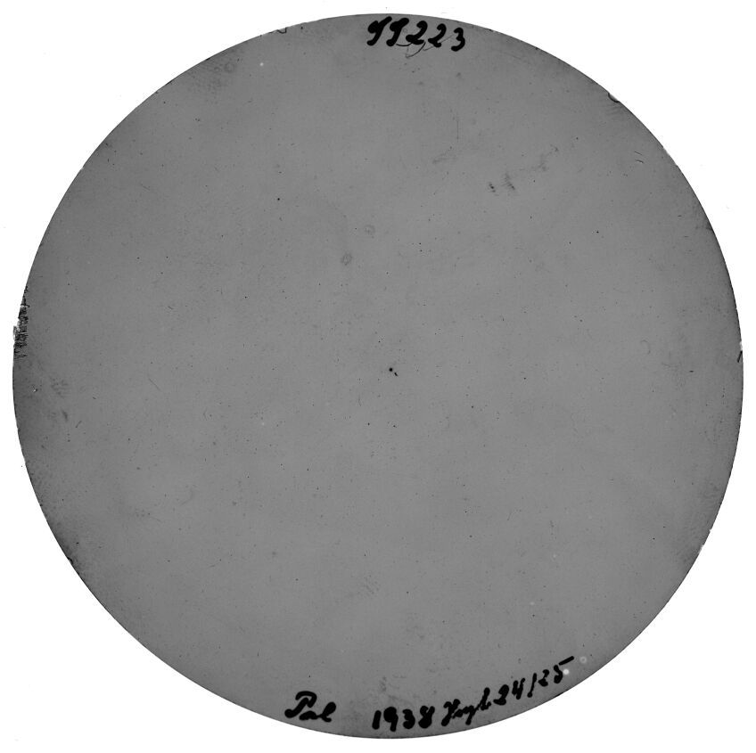 Plate preview