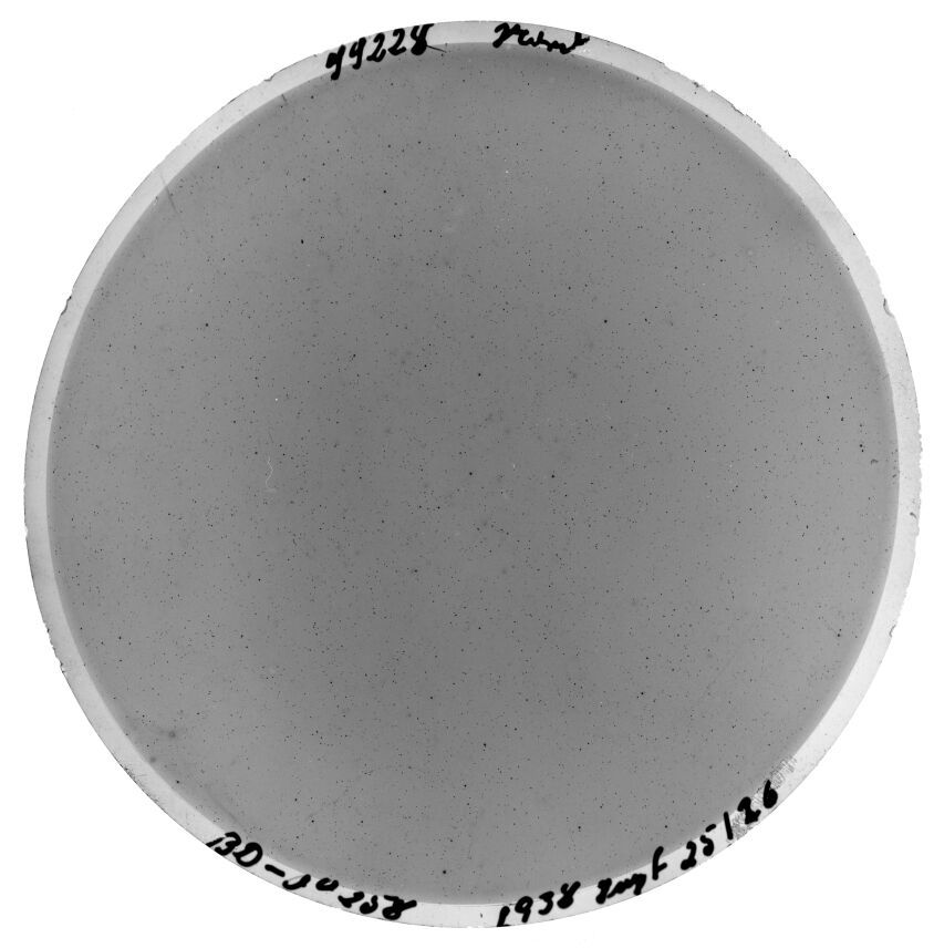 Plate preview