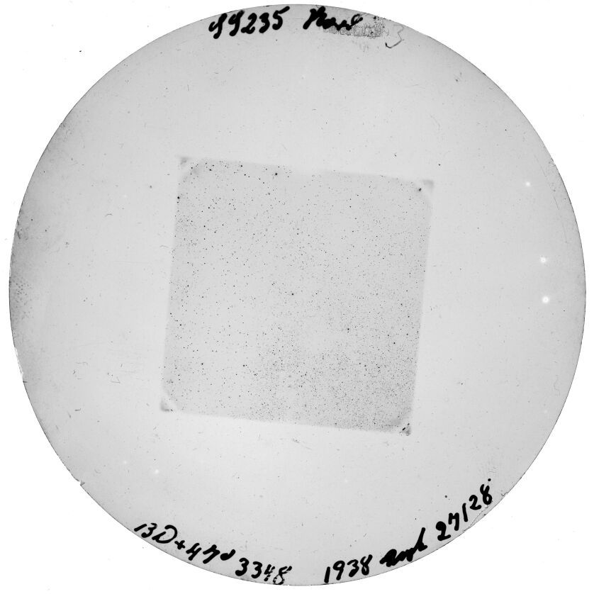 Plate preview