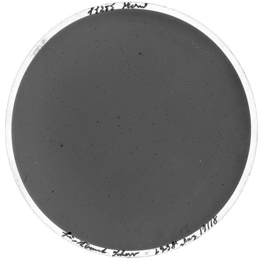 Plate preview