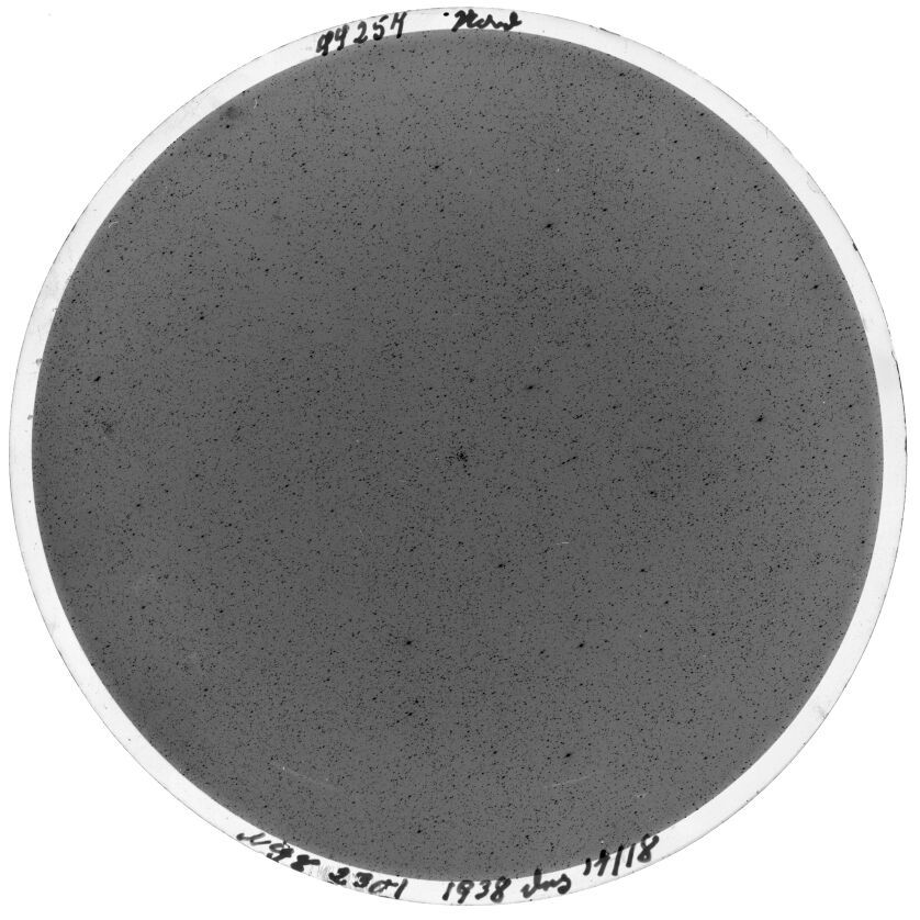 Plate preview
