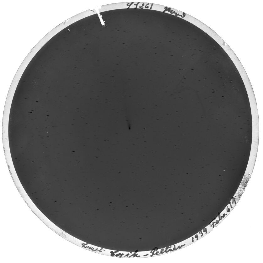 Plate preview