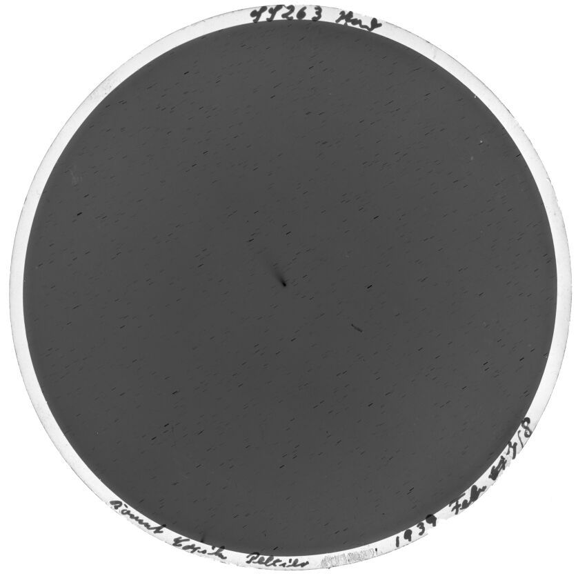 Plate preview