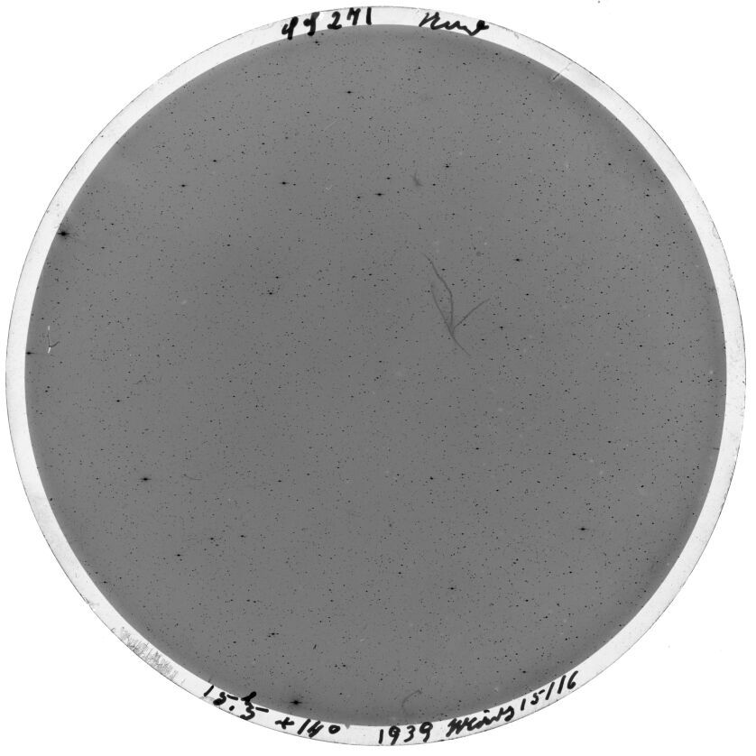 Plate preview