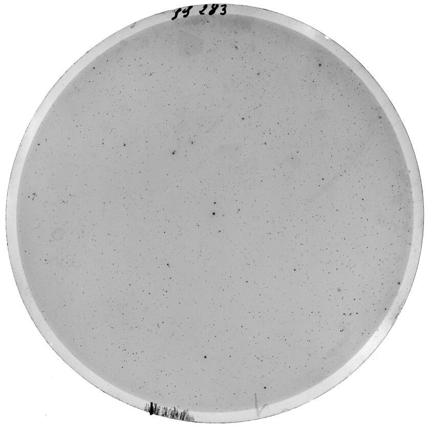 Plate preview