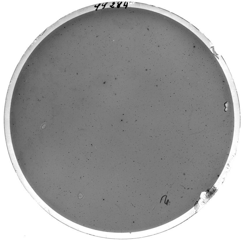 Plate preview