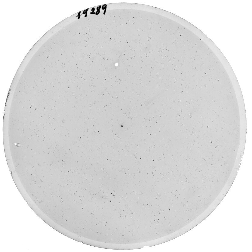 Plate preview
