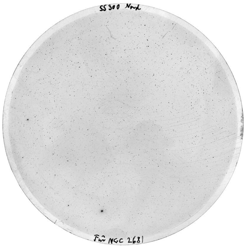 Plate preview