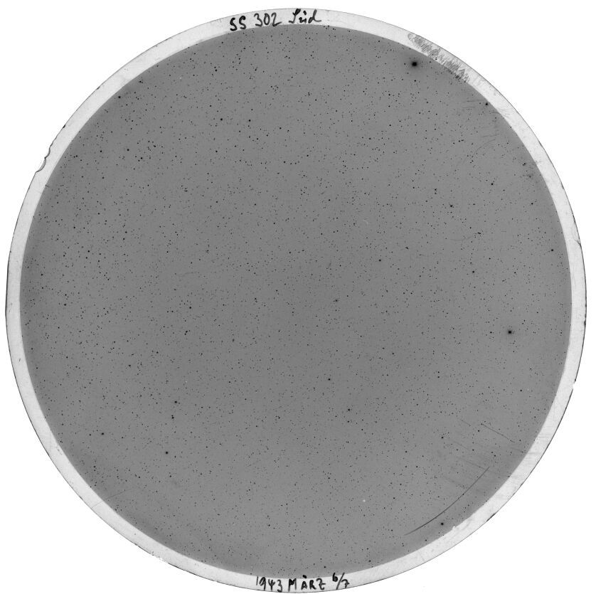 Plate preview