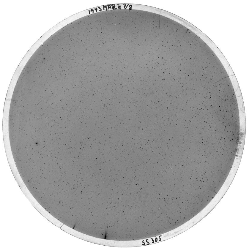 Plate preview