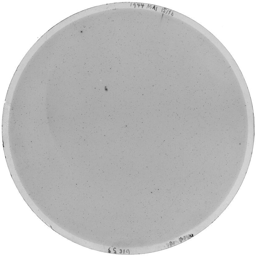 Plate preview