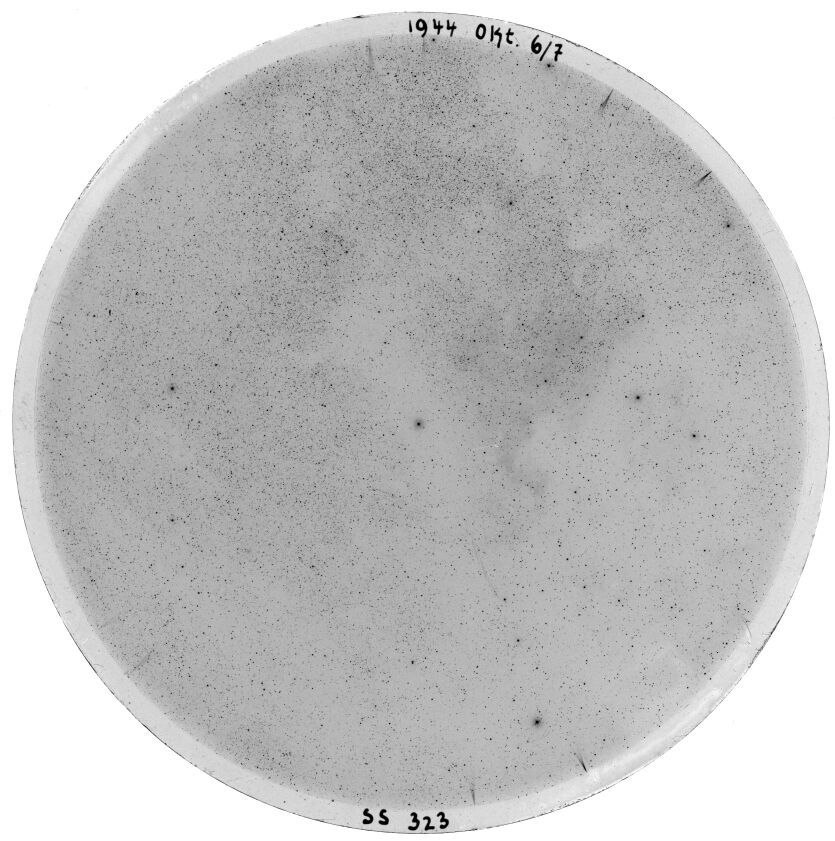 Plate preview