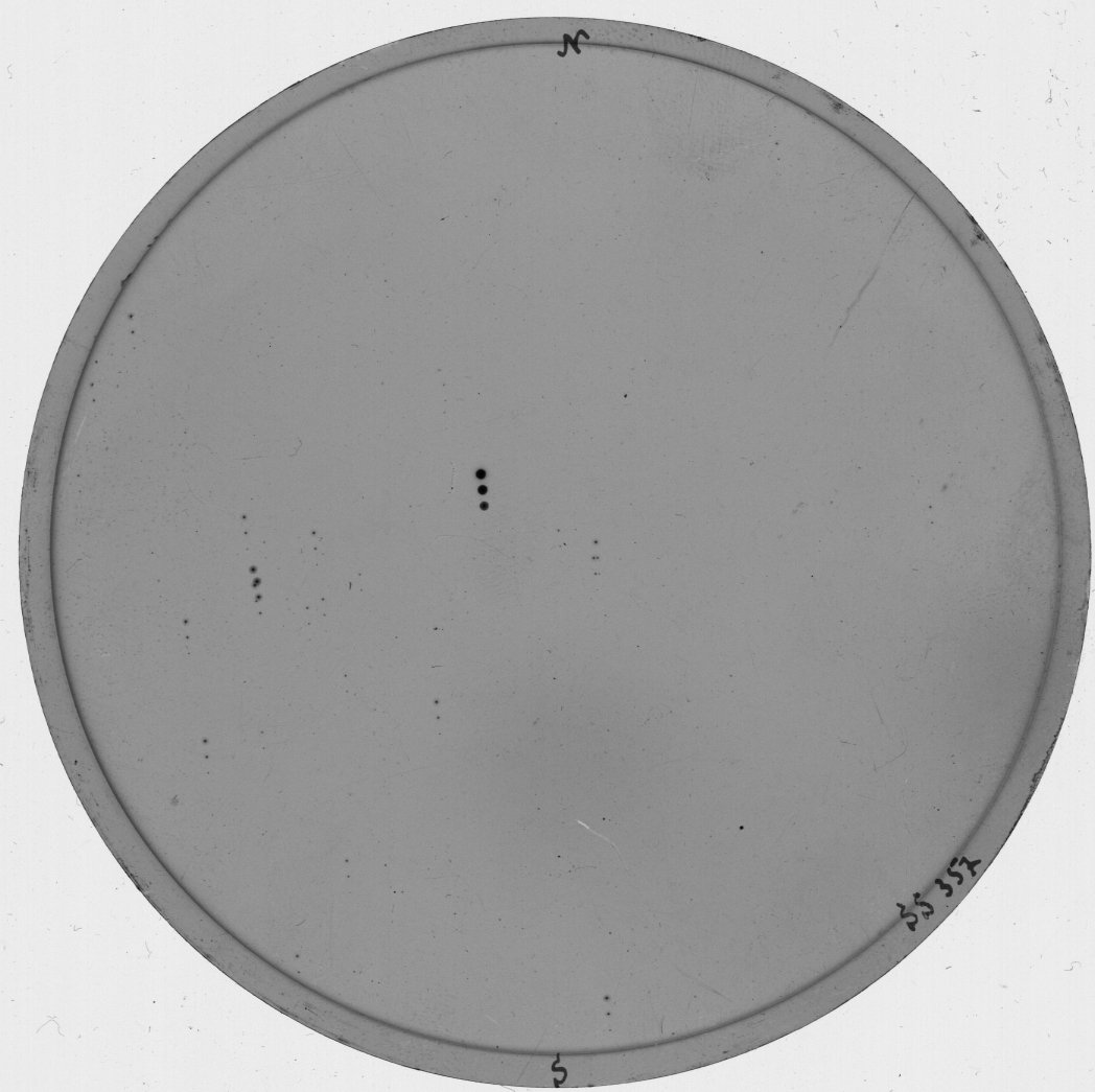 Plate preview