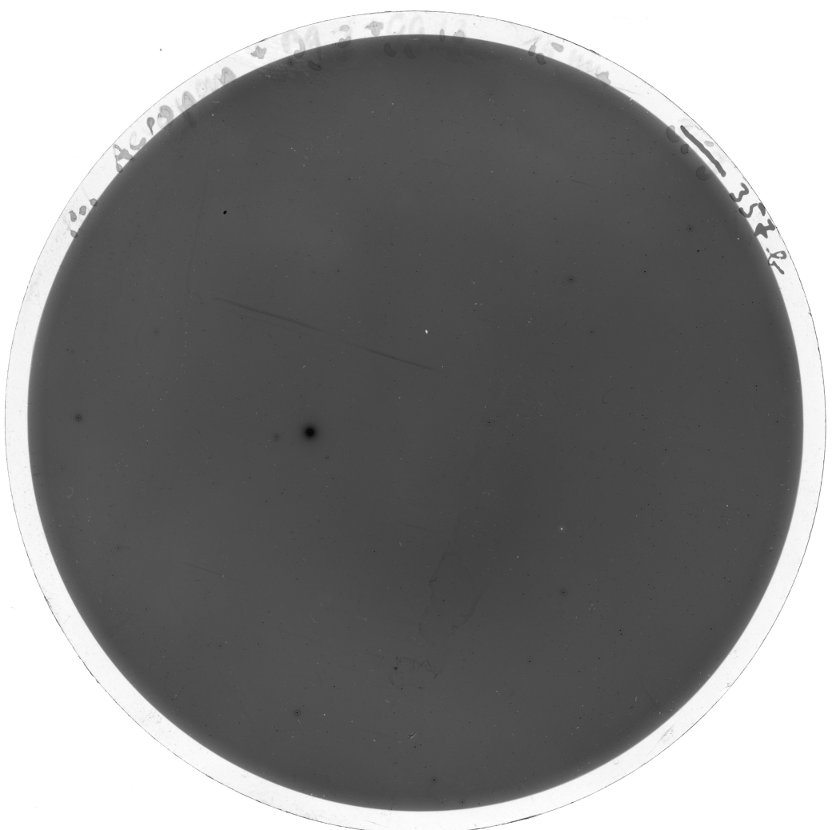 Plate preview