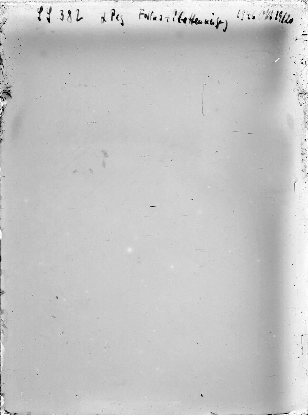 Plate preview