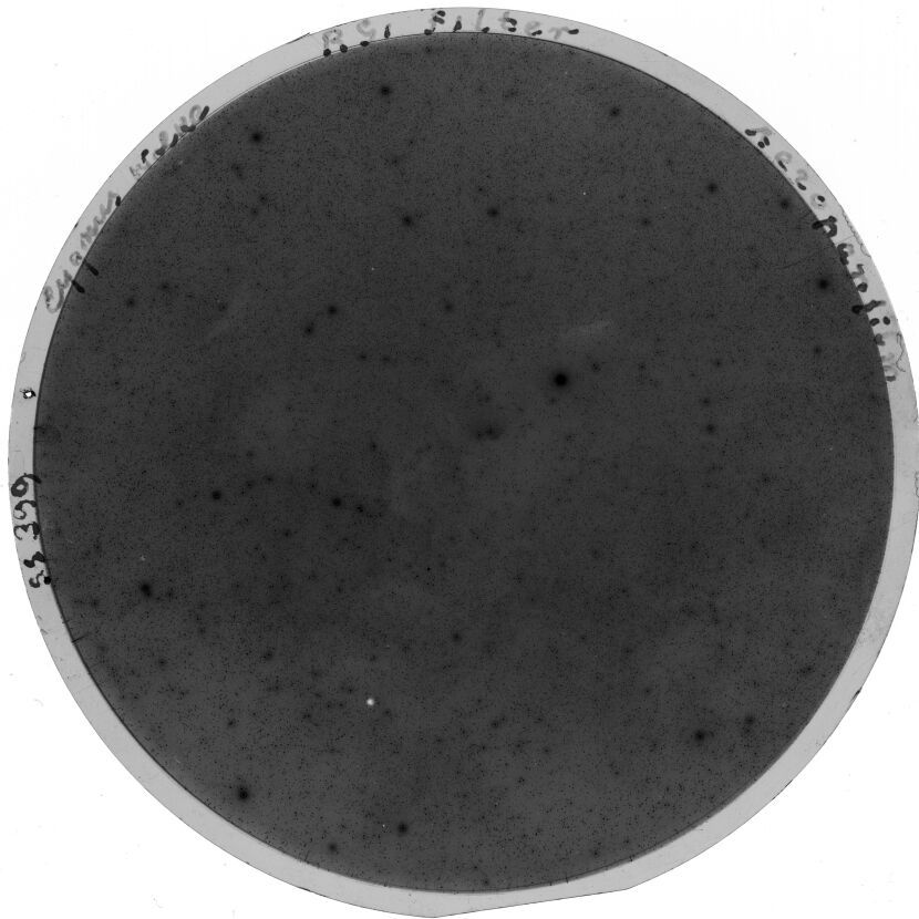 Plate preview