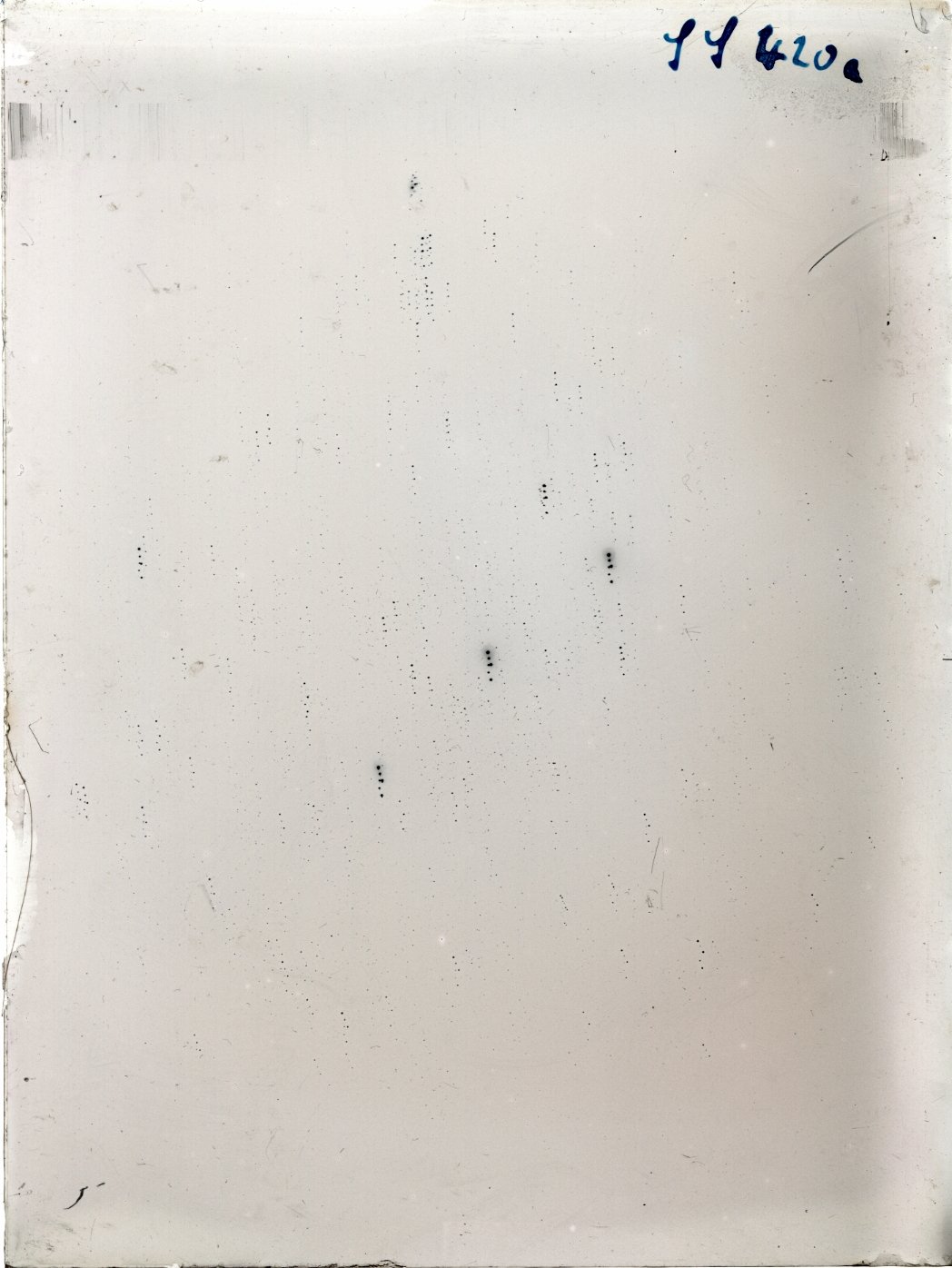 Plate preview