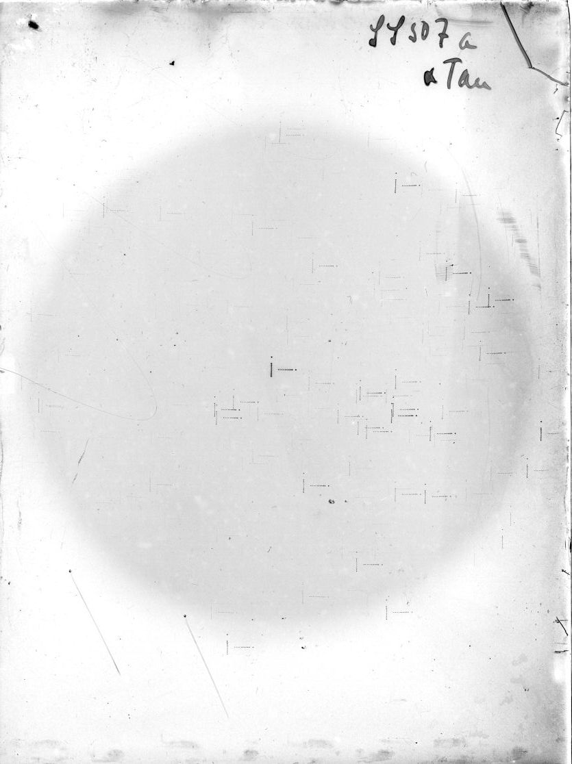 Plate preview