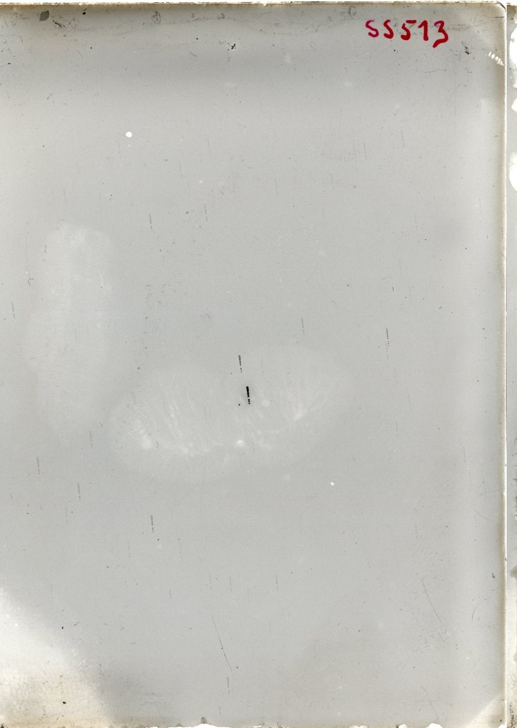 Plate preview