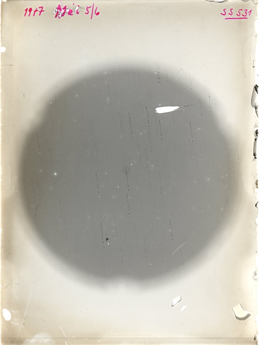 Plate preview